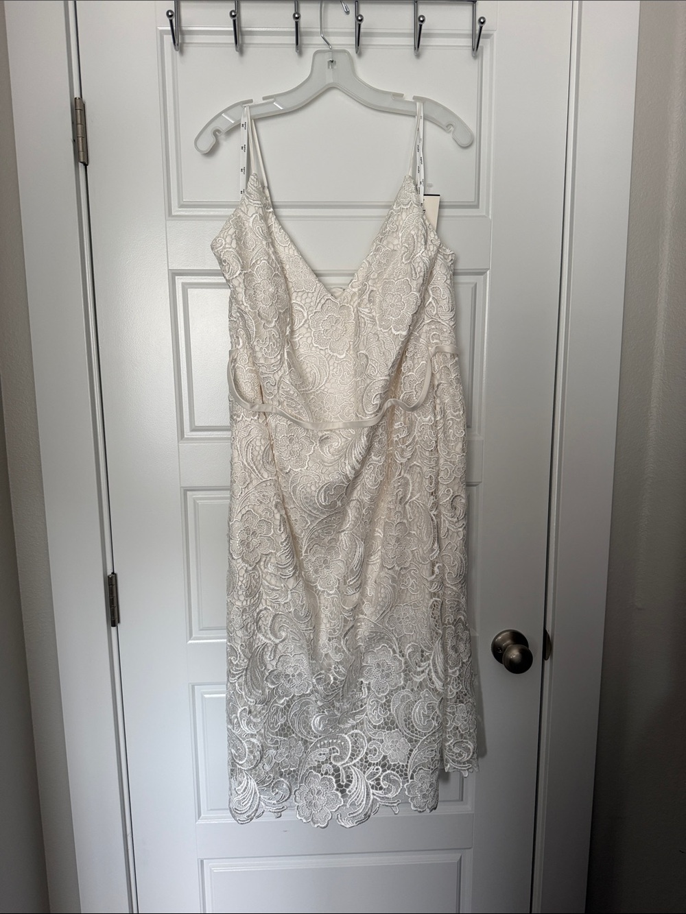 Paisley Lace Illusion Sheath Dress with Sheer Hem